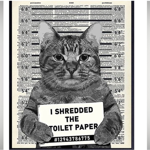 Offers are welcome, bundle for extra discount (plus shipping discount) - Picture 3 of 6